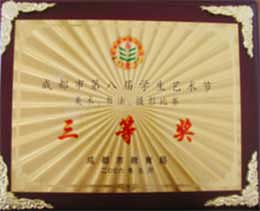 我校荣获成都市第八届学生艺术节美术、书法比赛三等奖