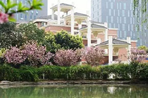  成都美视师一学校关于食品安全问题的声明 