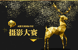  成都美视师一学校摄影大赛 