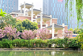 成都美视师一学校2019年小升初随机派位名单公示